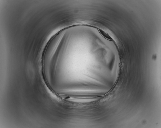 X0000100971143200807151345