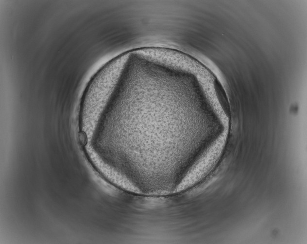 X0000100971144200807151345