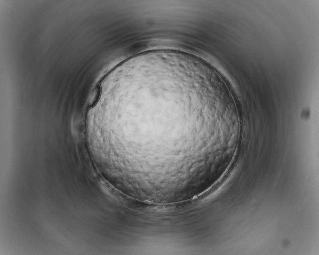 X0000100971145200807151345