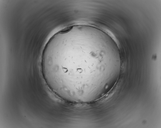 X0000100971146200807151345