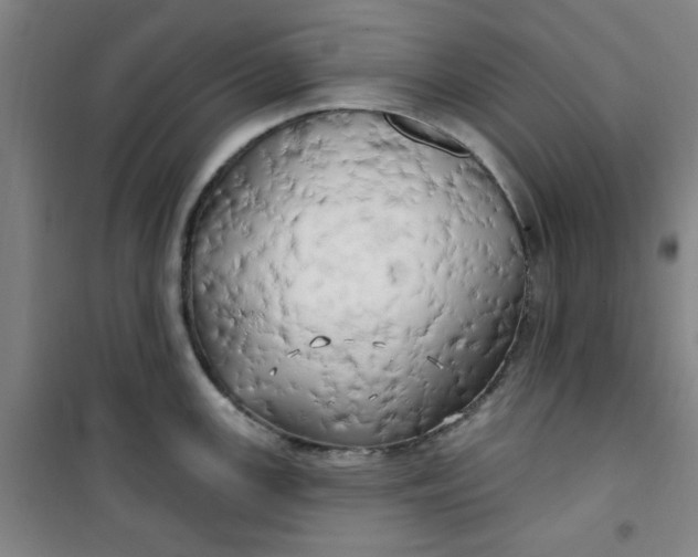 X0000100971147200807151345