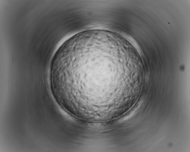 X0000100971149200807151345