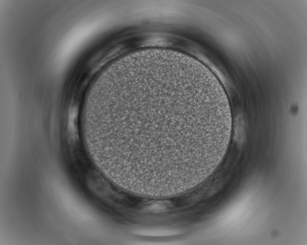 X0000100971150200807151345