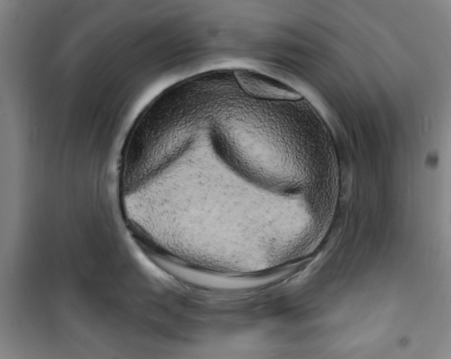X0000100971151200807151345