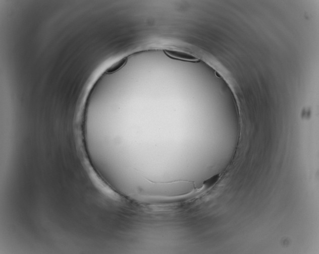 X0000100971152200807151345