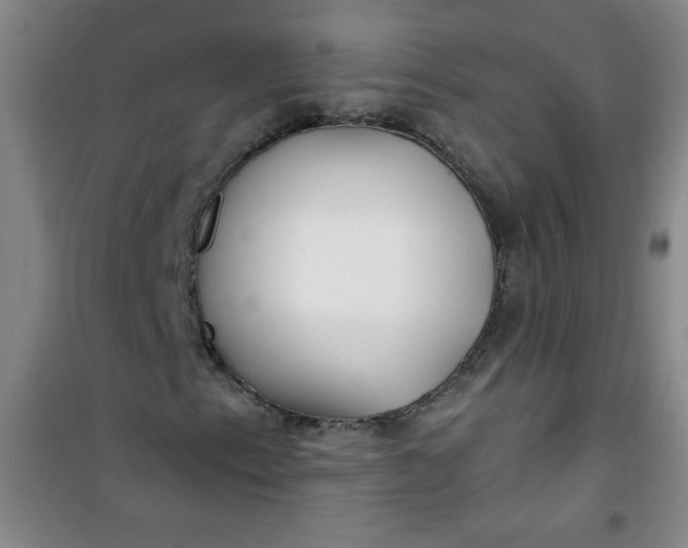 X0000100971153200807151345