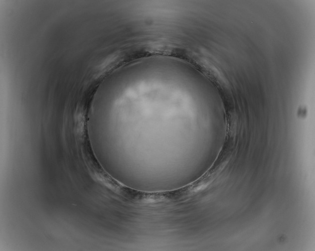 X0000100971154200807151345