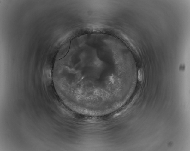 X0000100971155200807151345