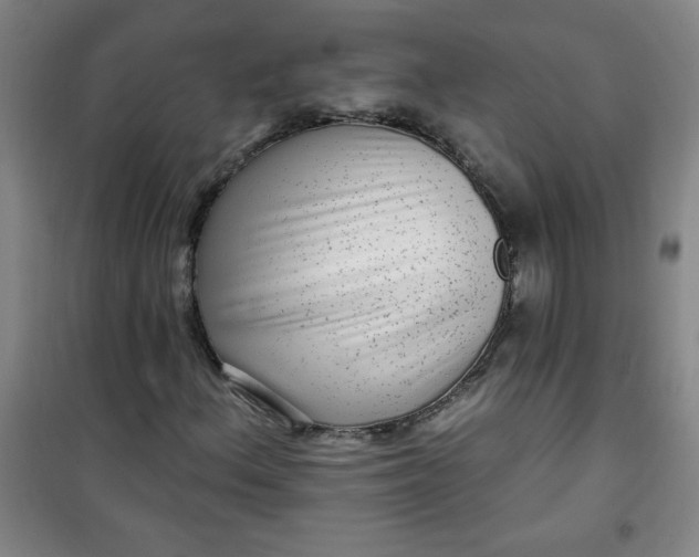 X0000100971156200807151344