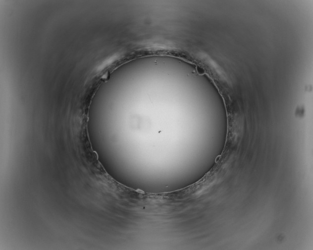 X0000100971157200807151344