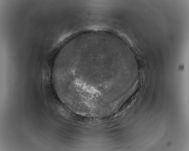 X0000100971158200807151344