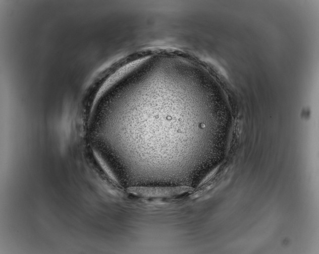 X0000100971159200807151344