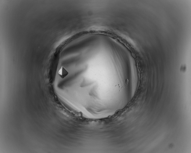 X0000100971160200807151344