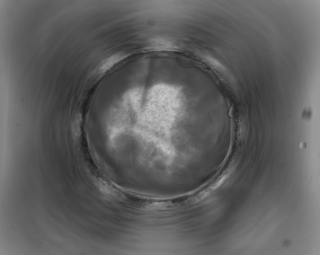 X0000100971161200807151344