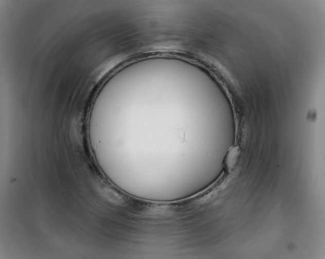 X0000100971162200807151344