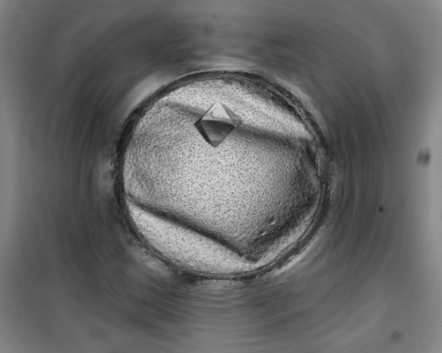 X0000100971163200807151344