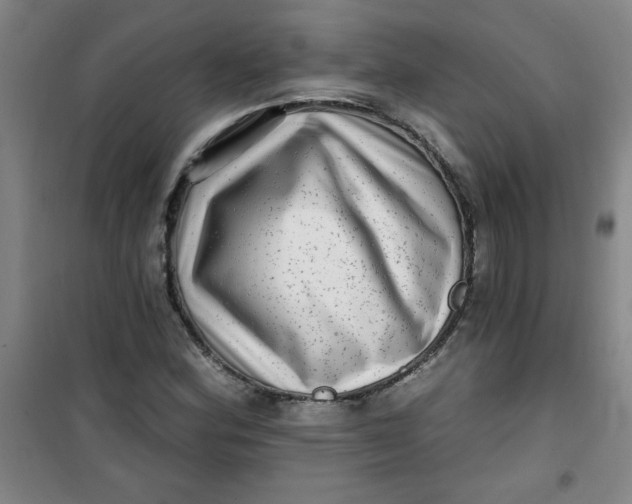 X0000100971164200807151344