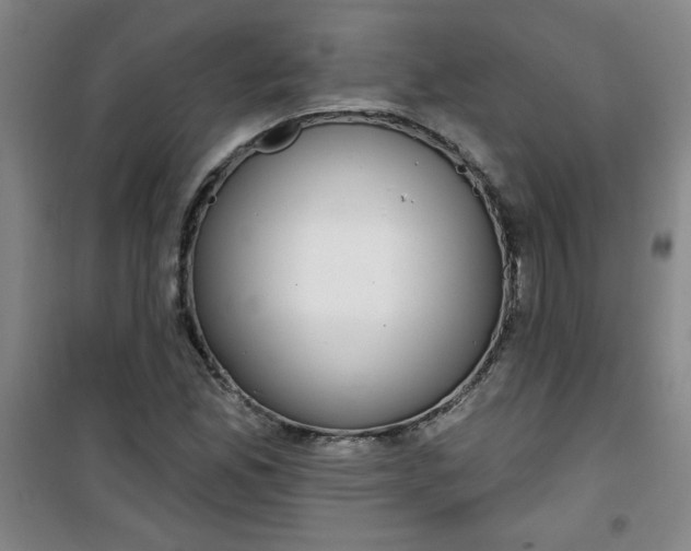 X0000100971165200807151344