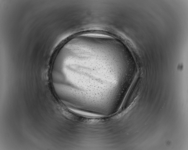 X0000100971166200807151344