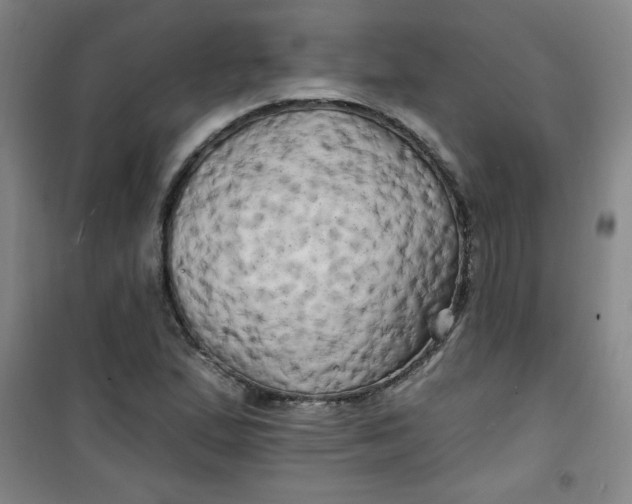 X0000100971167200807151344
