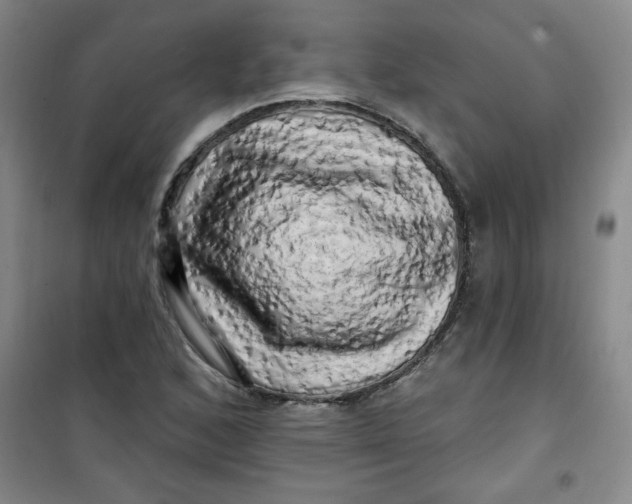 X0000100971168200807151344