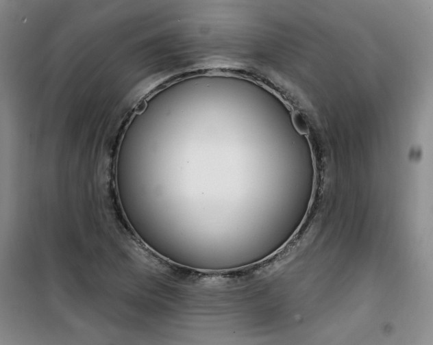 X0000100971169200807151344