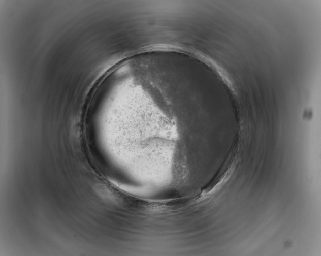 X0000100971170200807151344