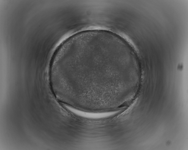 X0000100971173200807151344