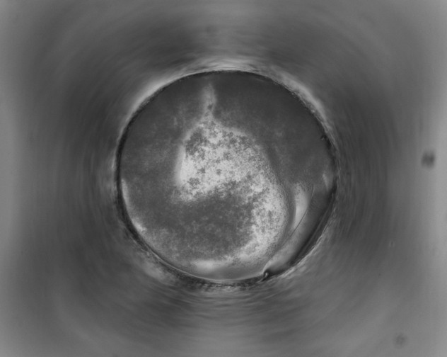 X0000100971174200807151344