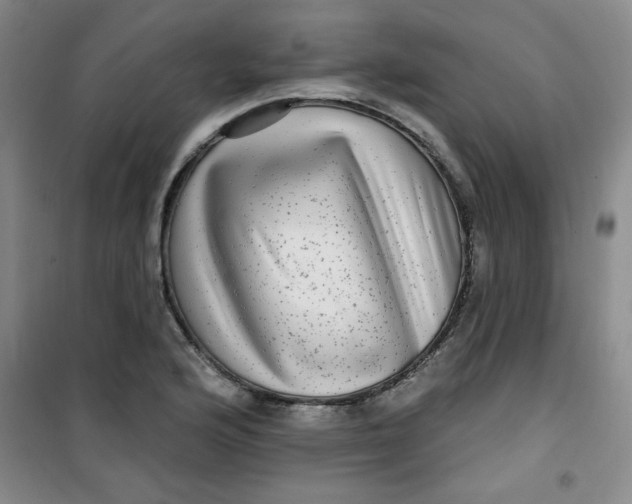 X0000100971176200807151344