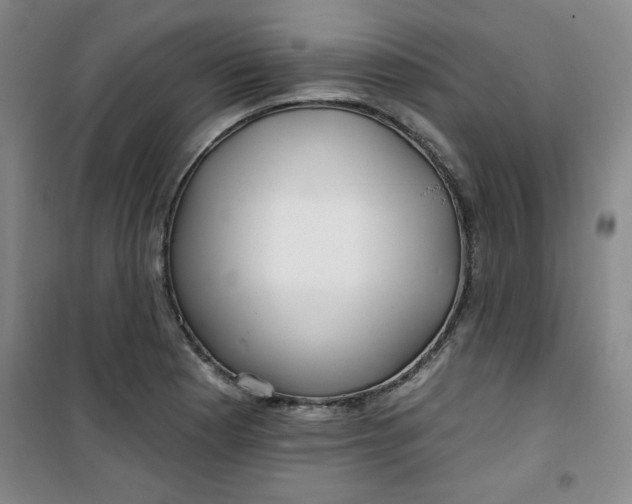 X0000100971177200807151344