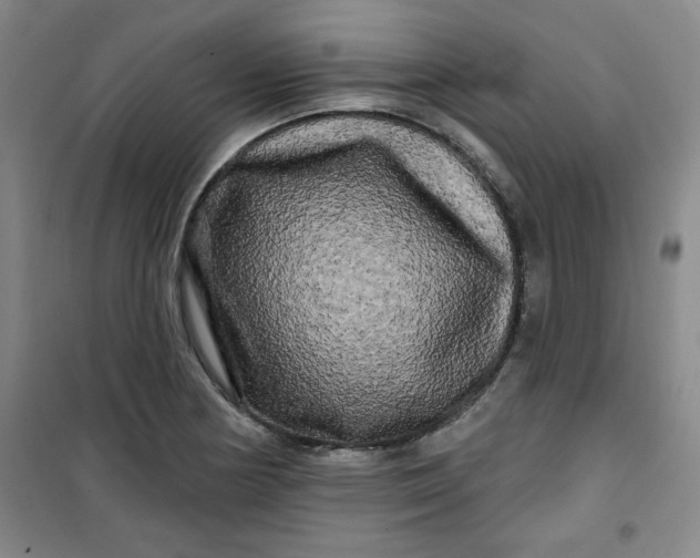 X0000100971178200807151344