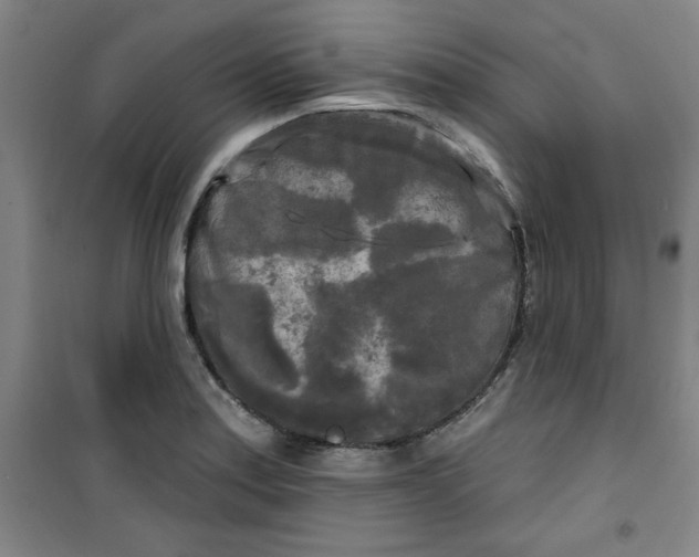 X0000100971179200807151344