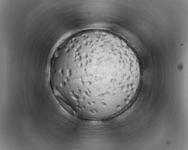 X0000100971180200807151344