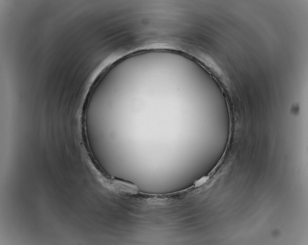 X0000100971181200807151344