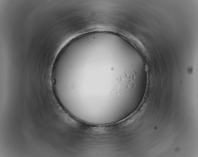 X0000100971182200807151344