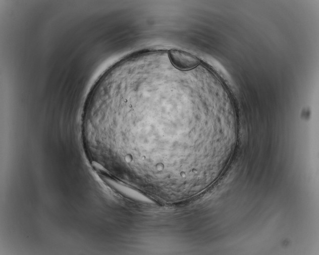 X0000100971183200807151344