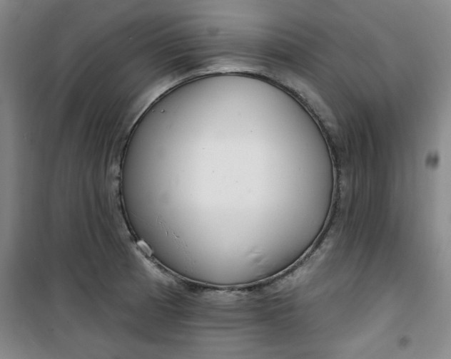 X0000100971185200807151344