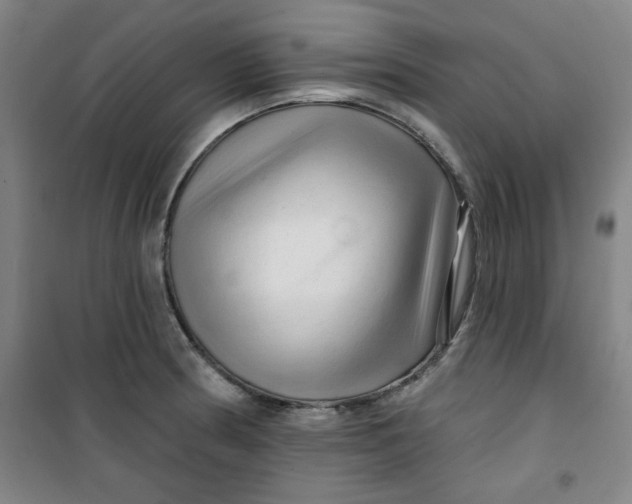 X0000100971186200807151344