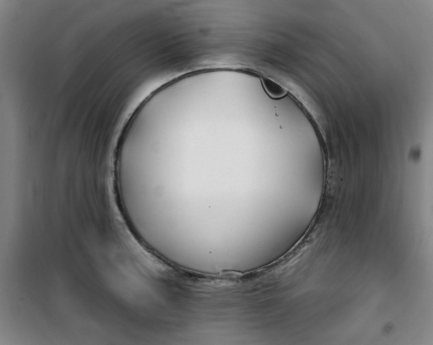 X0000100971187200807151344