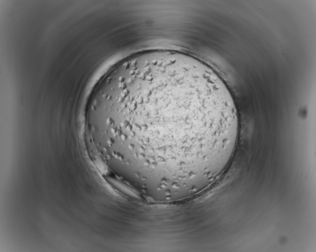 X0000100971188200807151344