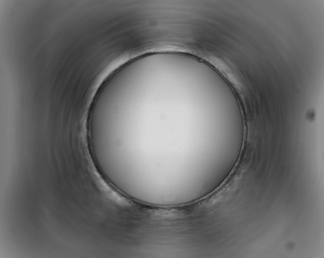 X0000100971189200807151344