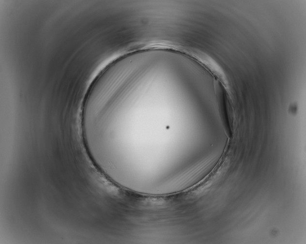 X0000100971190200807151344