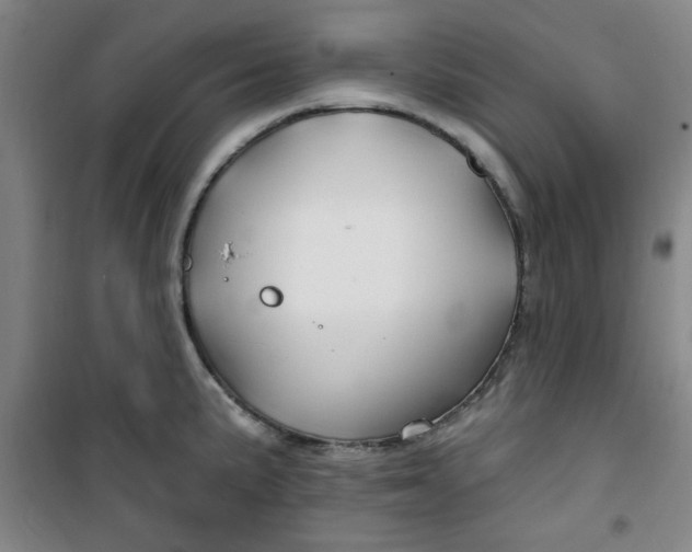 X0000100971191200807151344