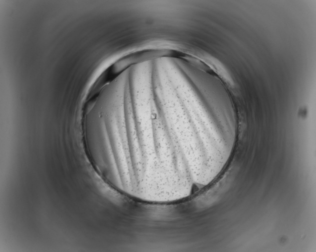 X0000100971192200807151344
