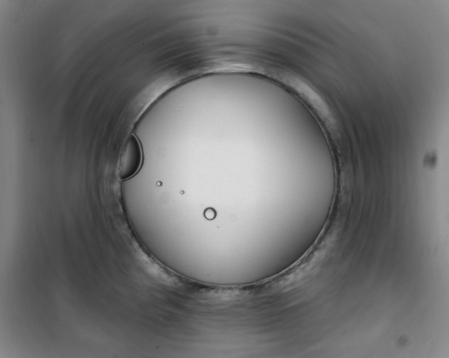 X0000100971193200807151344