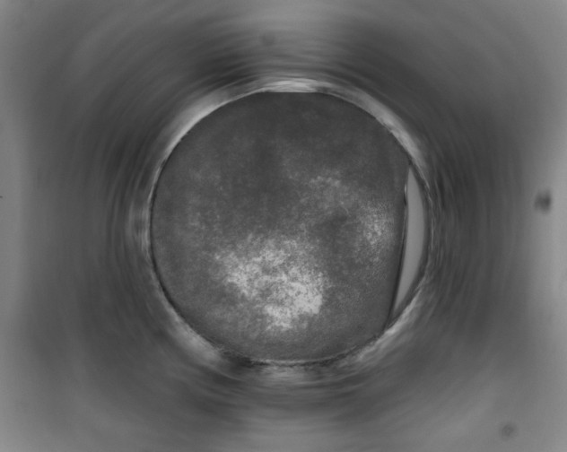 X0000100971194200807151344