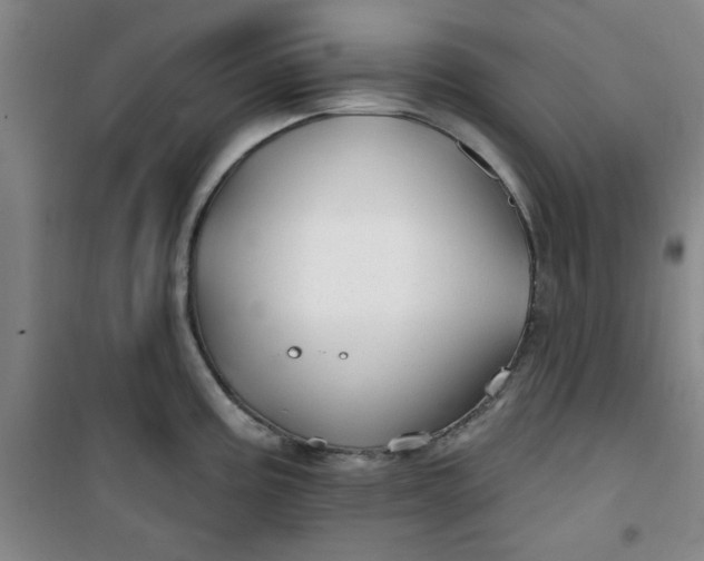 X0000100971195200807151344
