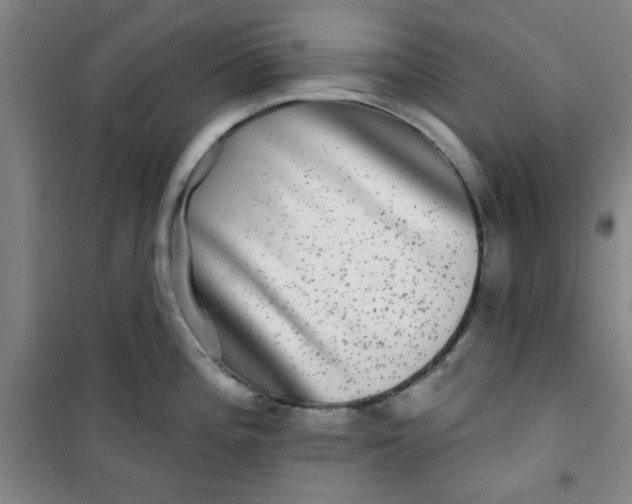 X0000100971196200807151344