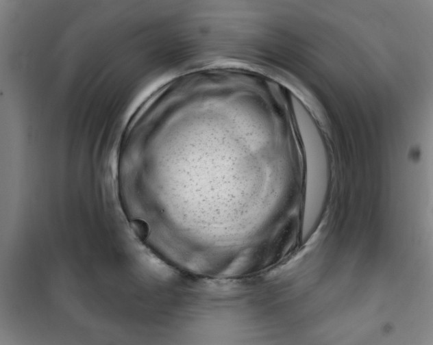 X0000100971198200807151344